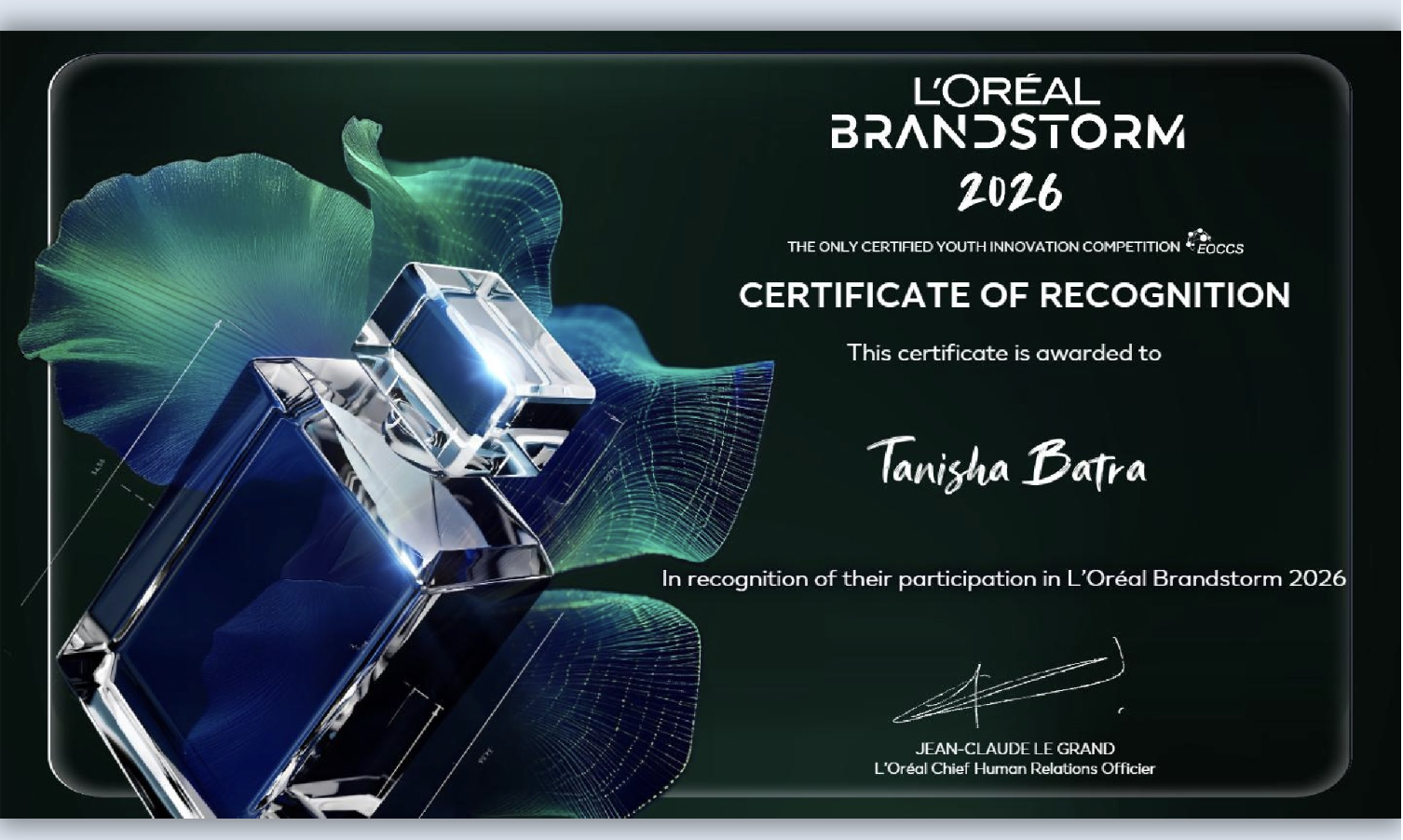 L'Oréal Brandstorm certificate